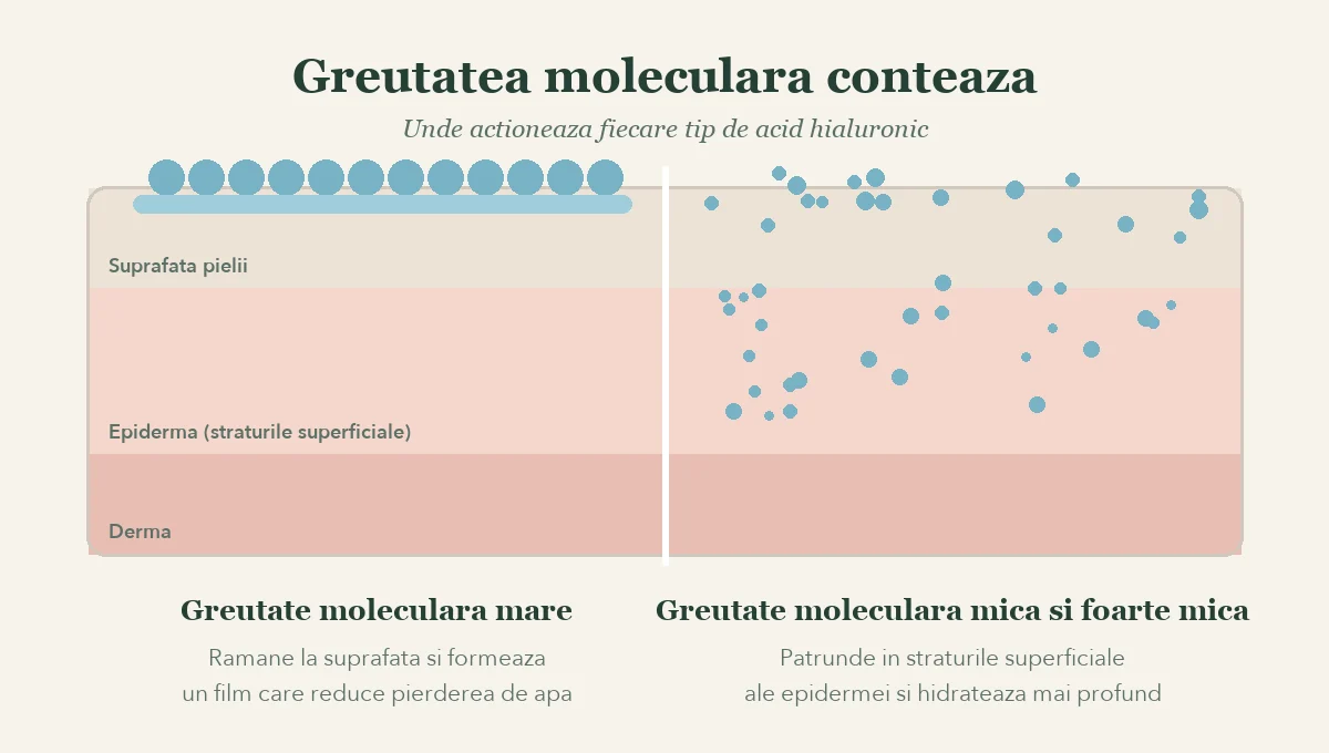 Acid hialuronic cu greutate moleculara mare si mica: unde actioneaza in piele